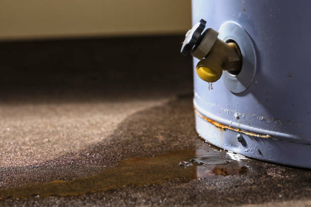 Best Sewage cleanup and water damage restoration  in West Fargo, ND