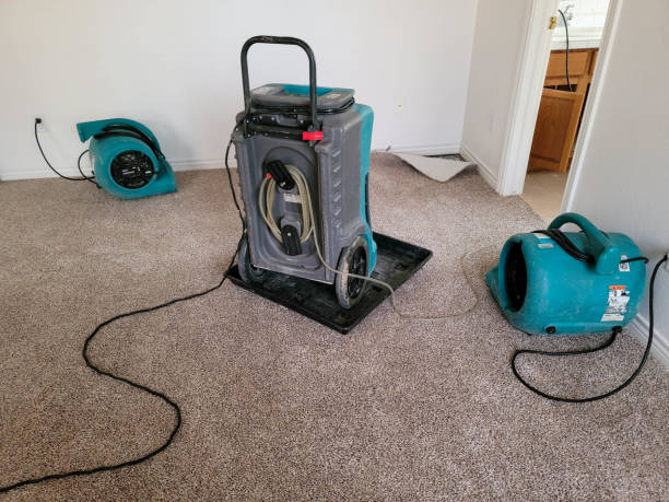 Best Commercial water damage restoration  in West Fargo, ND