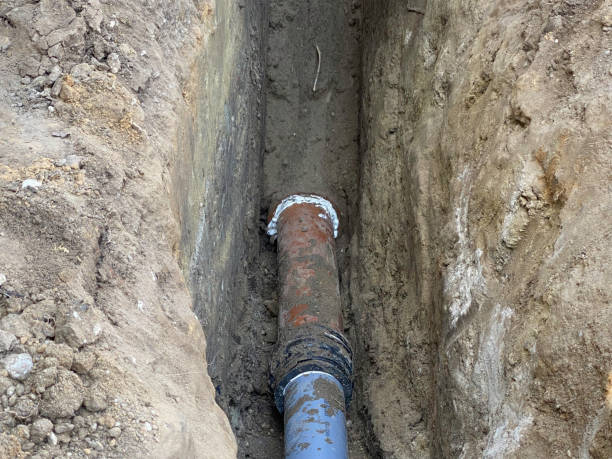 Best Flood damage cleanup  in West Fargo, ND