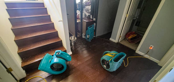 Best Carpet water damage restoration  in West Fargo, ND