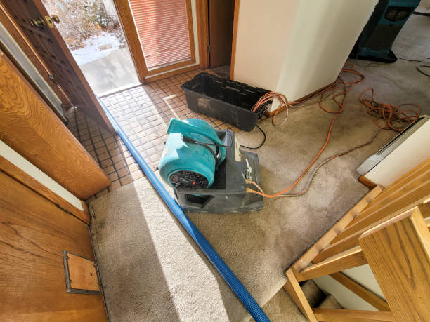 Best Professional water damage repair  in West Fargo, ND