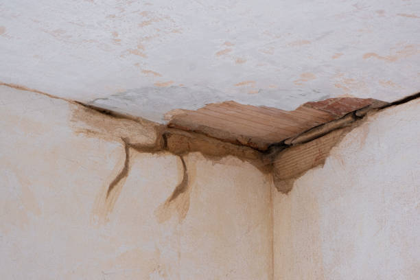 Best Water damage restoration services  in West Fargo, ND