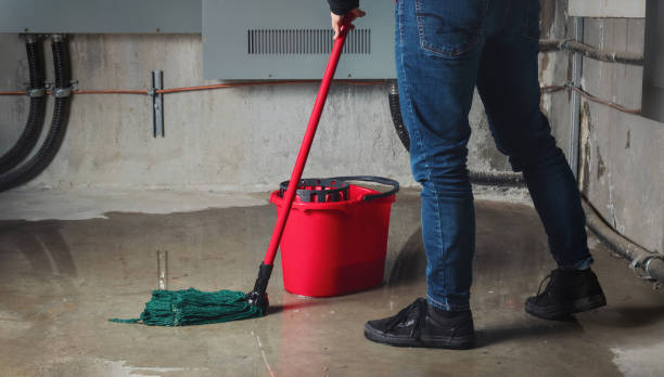 Best Water damage repair service  in West Fargo, ND