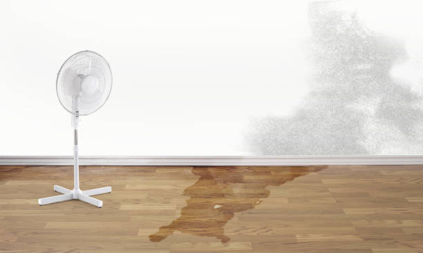 Best Water damage cleanup near me  in West Fargo, ND