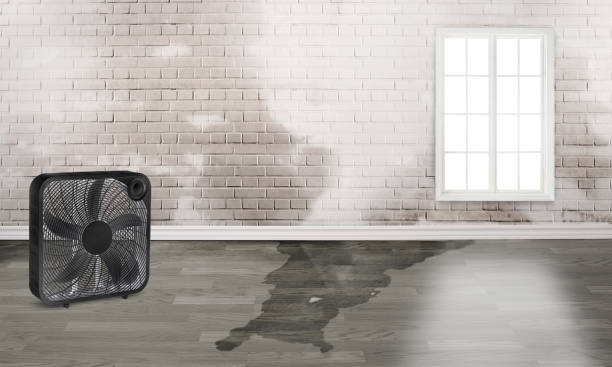 Best Flood restoration services  in West Fargo, ND