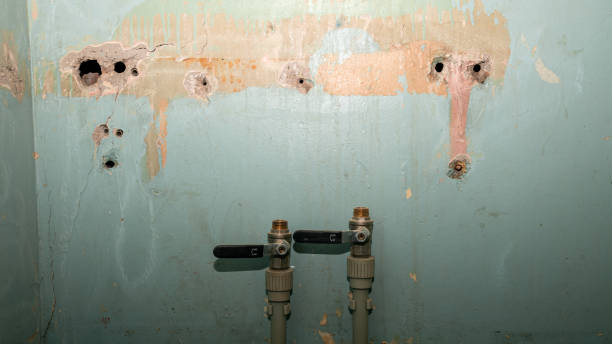 Best Ceiling water damage repair  in West Fargo, ND