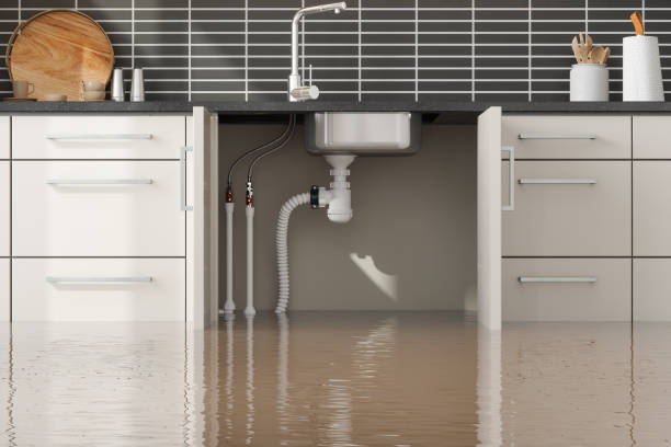 Carpet water damage restoration in West Fargo, ND