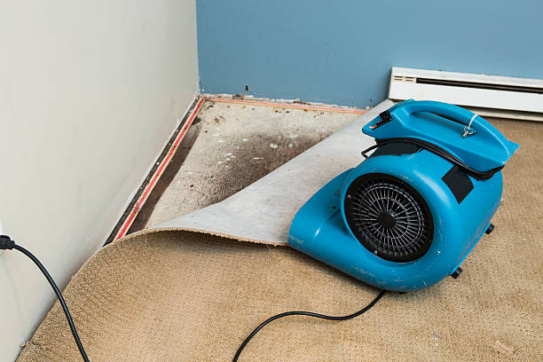 Best Flooded house restoration  in West Fargo, ND